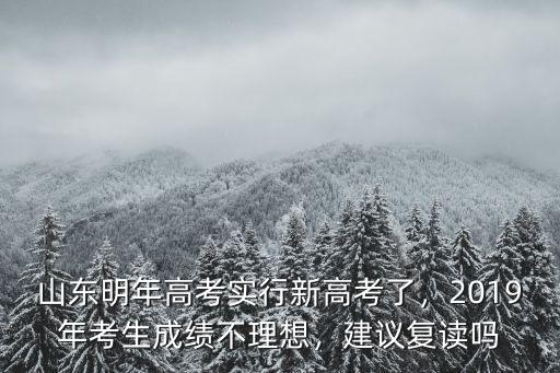 山東高考多少考生2019,山東明年高考實(shí)行新高考了