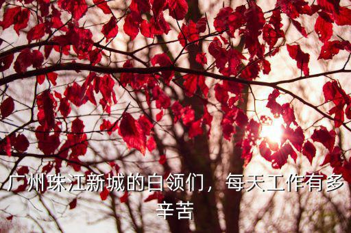 廣州珠江新城工作怎么樣,廣州珠江新城的白領們
