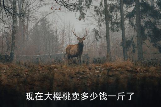 山東大櫻桃美早多少錢一斤,現在大櫻桃賣多少錢一斤了