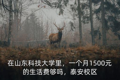 在山東科技大學里，一個月1500元的生活費夠嗎，泰安校區