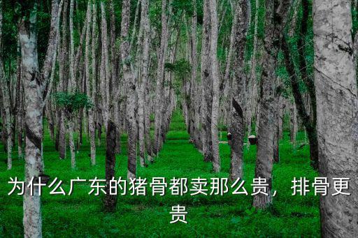 為什么廣東的豬骨都賣那么貴，排骨更貴