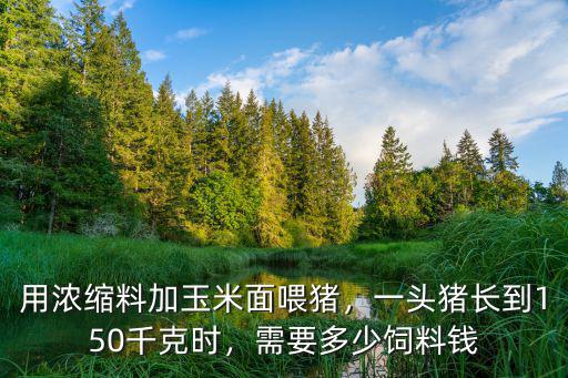 用濃縮料加玉米面喂豬，一頭豬長到150千克時，需要多少飼料錢