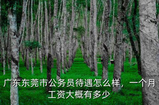 東莞市公安局普聘員工資多少,一個月工資大概有多少