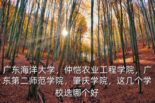 廣東海洋大學(xué)，仲愷農(nóng)業(yè)工程學(xué)院，廣東第二師范學(xué)院，肇慶學(xué)院，這幾個(gè)學(xué)校選哪個(gè)好
