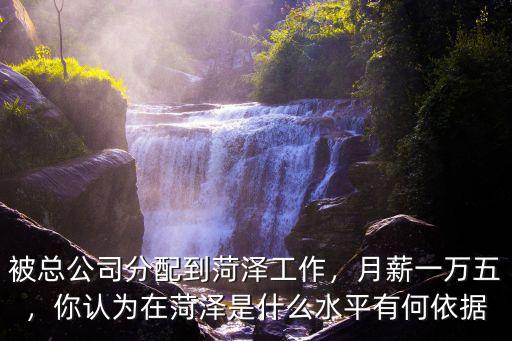 被總公司分配到菏澤工作，月薪一萬五，你認為在菏澤是什么水平有何依據(jù)