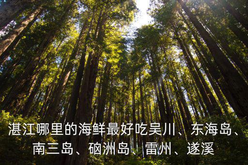 湛江哪里的海鮮最好吃吳川、東海島、南三島、硇洲島、雷州、遂溪