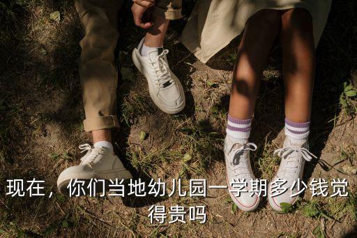 現在，你們當地幼兒園一學期多少錢覺得貴嗎