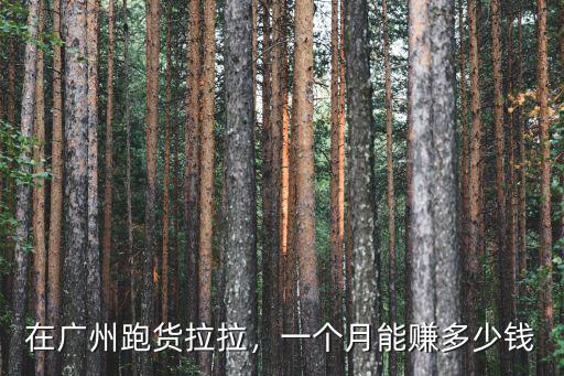 廣州貨拉拉多少錢一輛,貨拉拉司機一個月能賺多少錢