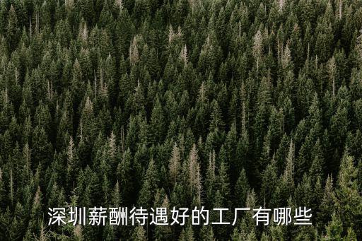深圳薪酬待遇好的工廠有哪些