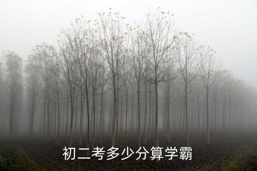 在濟南初二考多少分算學霸,初二考多少分算學霸