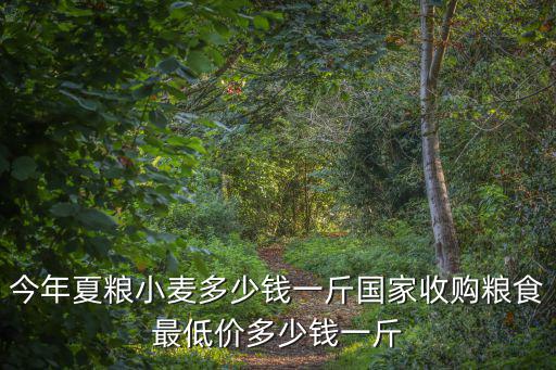 今年夏糧小麥多少錢一斤國家收購糧食最低價多少錢一斤