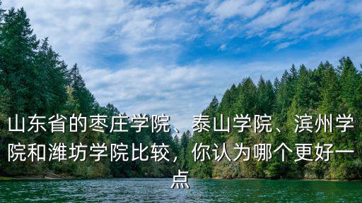 山東省的棗莊學院、泰山學院、濱州學院和濰坊學院比較，你認為哪個更好一點