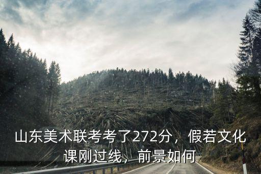山東美術聯考文化課多少分能過,山東美術聯考考了272分