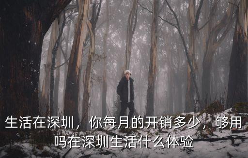 在深圳的基本消費多少時間,正常一個月的消費水平是多少