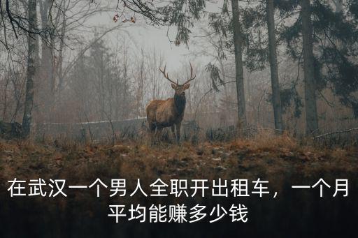 武漢到南通開車多少錢一個(gè)月,在武漢一個(gè)男人全職開出租車