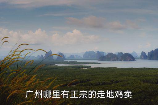 廣州哪里有正宗的走地雞賣