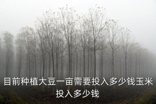 廣東醫谷投資多少錢,投資一個賓館至少需要多少錢