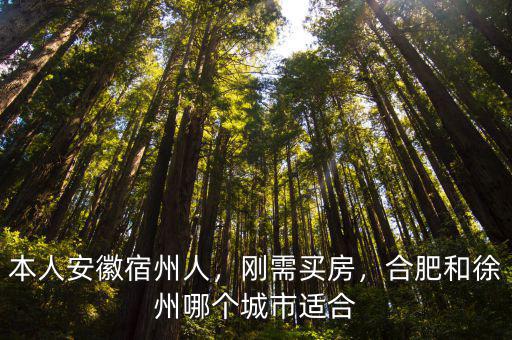 宿州工資比徐州差多少,本人安徽宿州人