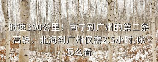 廣州到南寧多少公里有高鐵嗎,北海到廣州僅需2.5小時