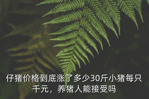 河源30多斤仔豬多少錢,五一仔豬多少錢頭3O多斤