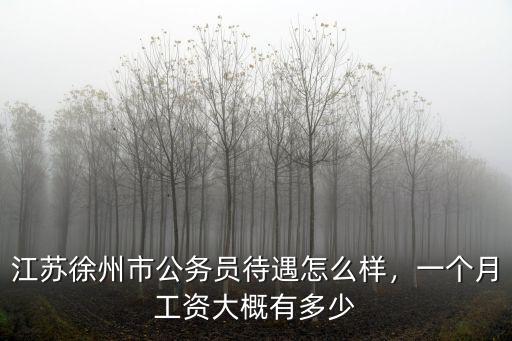 徐州沛縣老師工資多少,一個(gè)月工資大概有多少