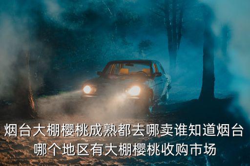 煙臺大棚櫻桃成熟都去哪賣誰知道煙臺哪個地區有大棚櫻桃收購市場