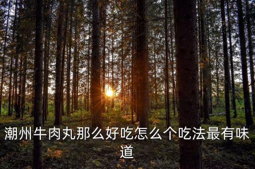 潮州牛肉丸那么好吃怎么個吃法最有味道