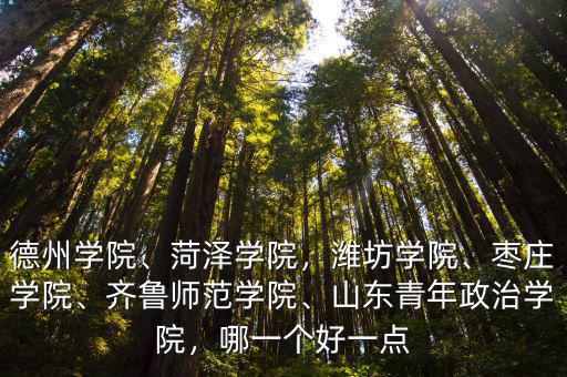 山東青年政治學(xué)院在全園排多少名,山東青年政治學(xué)院怎么樣