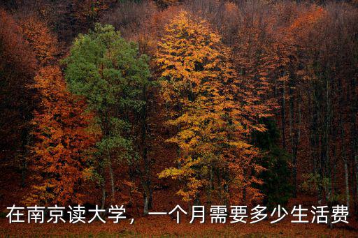 南京仙外初一學費多少,在南京讀大學