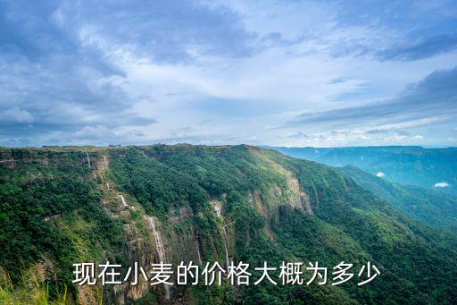 山東巨野縣現小麥價格多少錢一斤,元旦小麥大概會多少錢一斤