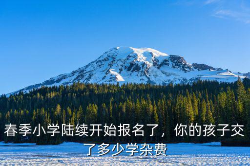 深圳讀公立小學(xué)學(xué)費(fèi)多少,在深圳上民辦小學(xué)