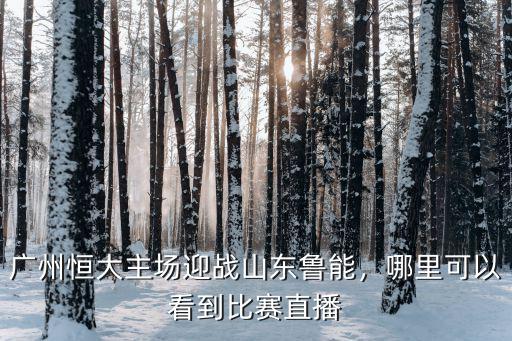 廣州恒大主場迎戰(zhàn)山東魯能，哪里可以看到比賽直播