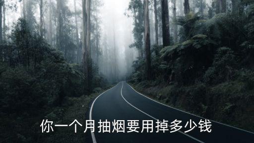 你一個月抽煙要用掉多少錢