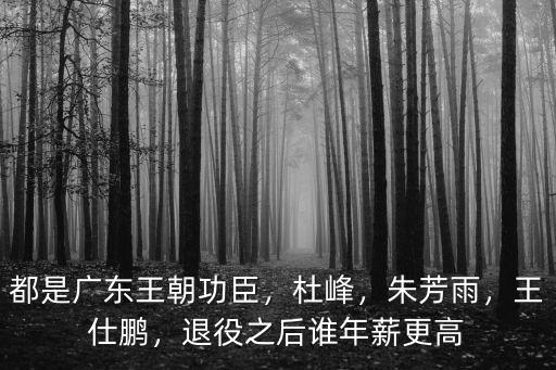 都是廣東王朝功臣，杜峰，朱芳雨，王仕鵬，退役之后誰年薪更高