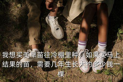 我想買美早苗往冷棚里種，如果買馬上結果的苗，需要幾年生長大約多少錢一棵
