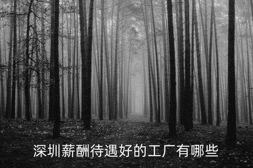 深圳薪酬待遇好的工廠有哪些