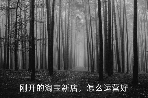剛開的淘寶新店，怎么運營好