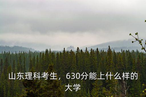 山東理科考生，630分能上什么樣的大學(xué)