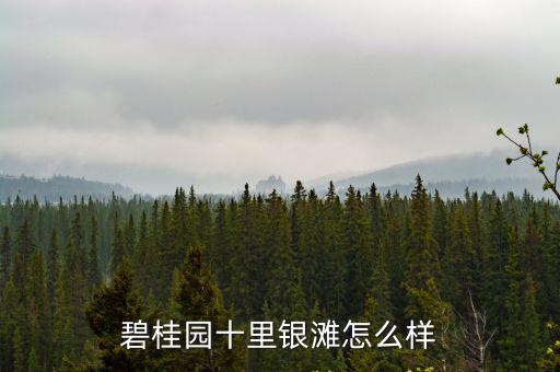 惠州十里銀灘碧桂園做酒店怎么樣,碧桂園十里銀灘怎么樣