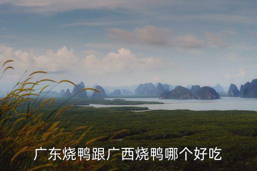 廣東最好吃的燒鴨在哪里,廣東燒鴨跟廣西燒鴨哪個(gè)好吃