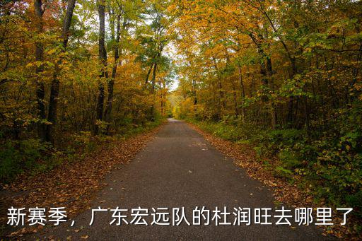 新賽季，廣東宏遠(yuǎn)隊(duì)的杜潤(rùn)旺去哪里了