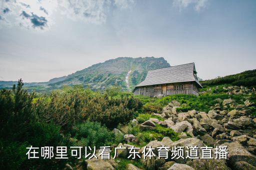在哪里可以看廣東體育頻道直播
