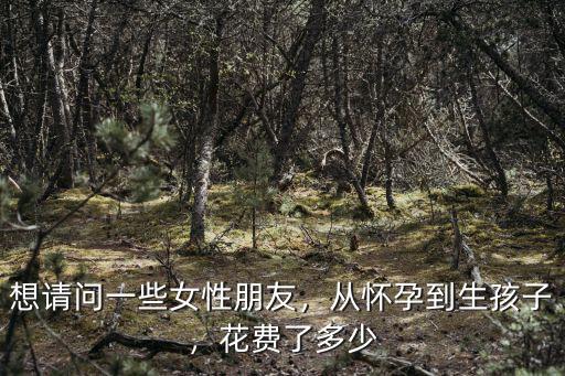 想請問一些女性朋友，從懷孕到生孩子，花費了多少