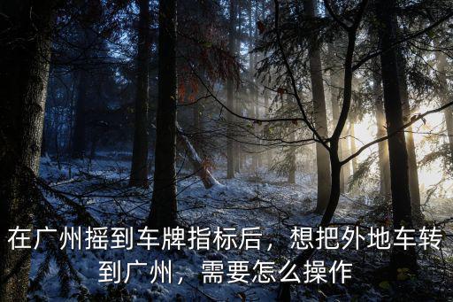 廣州hpv疫苗搖號怎么操作,如何參加廣州搖車牌號