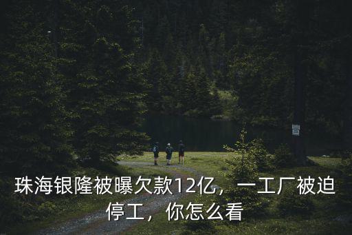 珠海銀隆皮卡車多少錢,珠海銀隆被曝欠款12億