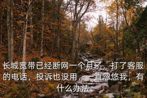 長城寬帶已經斷網一個月了，打了客服的電話，投訴也沒用，一直忽悠我，有什么辦法
