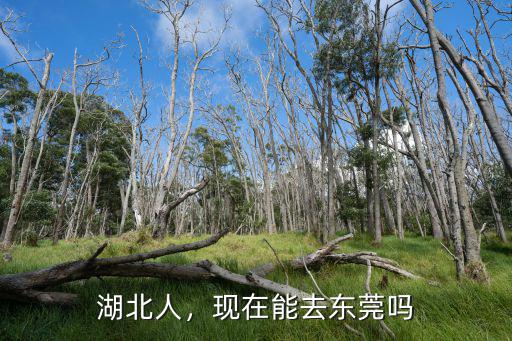 現在去東莞的路況怎么樣,現在能去東莞嗎