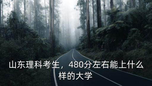 山東理科考生，480分左右能上什么樣的大學