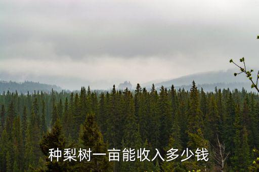 種梨樹一畝能收入多少錢