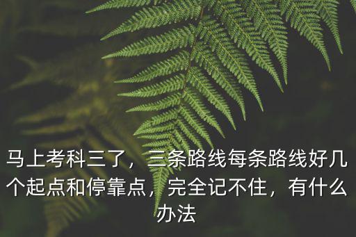 馬上考科三了，三條路線每條路線好幾個起點和停靠點，完全記不住，有什么辦法